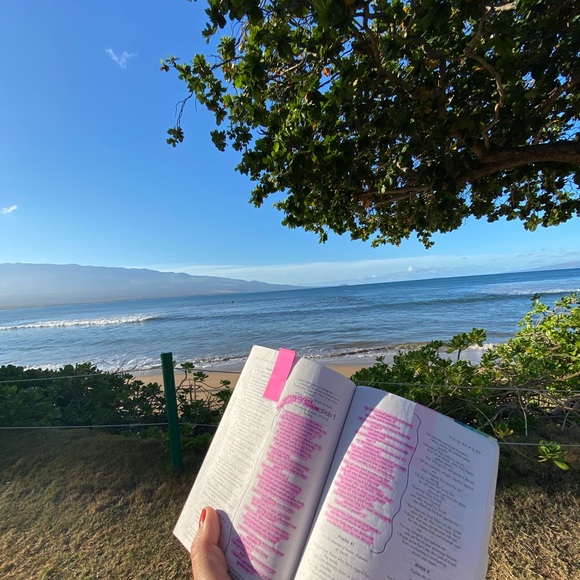 Top Rated ⭐️⭐️⭐️⭐️⭐️ - Picture 4 of 4